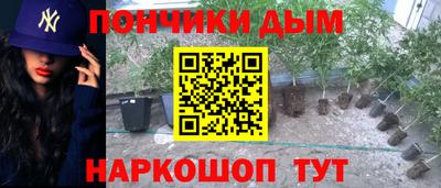 ПСИЛОЦИБИНОВЫЕ ГРИБЫ Аргун