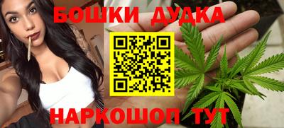 ПСИЛОЦИБИНОВЫЕ ГРИБЫ Аргун