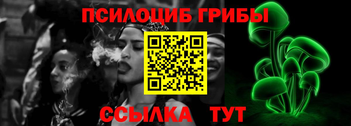 Псилоцибиновые грибы GOLDEN TEACHER Волжский